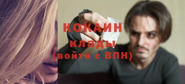 прущие грибы Бронницы