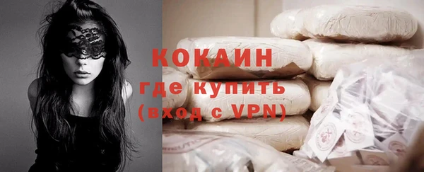 прущие грибы Бронницы