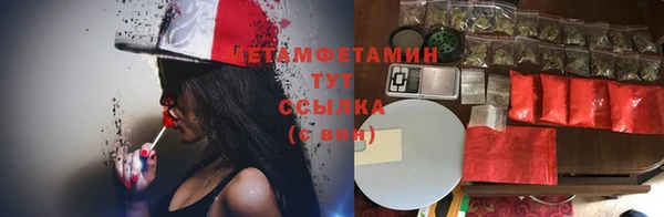 прущие грибы Бронницы