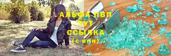 прущие грибы Бронницы