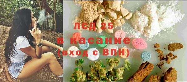 прущие грибы Бронницы