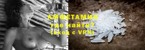 прущие грибы Бронницы