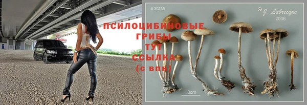 тгк Бугульма